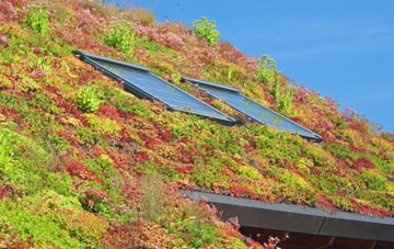 Llandegla living roof systems